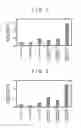Fig. 02 - EXHAUST GAS PURIFICATION CATALYST, METHOD OF PRODUCING THE SAME,
AND EXHAUST GAS PURIFICATION METHOD USING THE SAME