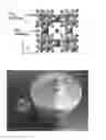 Fig. 02 - METHOD FOR PREPARING SILICOTITANATE AND CS ADSORBENT