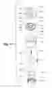 Fig. 09 - Showerhead with movable control valve