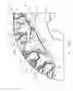Fig. 07 - Customizable apparatus and method for transporting and depositing fluids