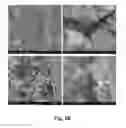 Fig. 03 - Methods of Producing Food Containers With An Antimicrobial Coating