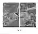 Fig. 04 - Methods of Producing Food Containers With An Antimicrobial Coating