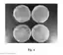 Fig. 07 - Methods of Producing Food Containers With An Antimicrobial Coating