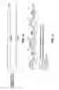 Fig. 07 - Megasonic multifrequency apparatus with matched transducer
