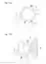 Fig. 07 - Method and device for grinding metal annular member
