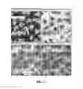 Fig. 07 - Method of using an abrasive article including shaped abrasive particles