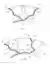 Fig. 32 - Customizable apparatus and method for printing fluids