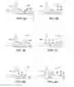 Fig. 18 - Vehicle body structure