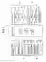 Fig. 02 - Driving assistance apparatus