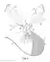 Fig. 07 - Infant seat support