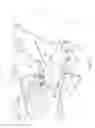 Fig. 07 - Vehicle frame component