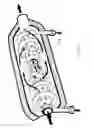 Fig. 40 - Vehicle
