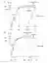 Fig. 03 - LOW SPREAD METAL ELONGATED BOTTLE AND PRODUCTION METHOD