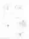 Fig. 04 - Apparatus for the emptying of containers