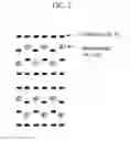 Fig. 03 - Electrically conductive thin films