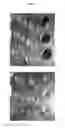 Fig. 04 - Method of making cohesive carbon assembly and its applications