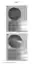 Fig. 08 - Method of making cohesive carbon assembly and its applications
