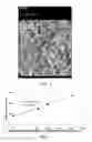 Fig. 03 - Honeycomb structure comprising a cement skin composition with crystalline inorganic fibrous material