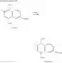 Fig. 42 - PDK4 INHIBITOR AND USE THEREOF