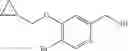 Fig. 22 - Pyridine-2-amides useful as CB2 agonists