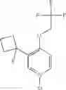 Fig. 258 - Pyridine-2-amides useful as CB2 agonists