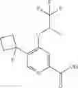 Fig. 581 - Pyridine-2-amides useful as CB2 agonists