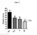 Fig. 02 - Triazolone compounds and uses thereof