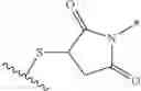 Fig. 37 - Pyrrolobenzodiazepines and conjugates thereof