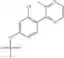 Fig. 257 - Heteroaromatic compounds and their use as dopamine D1 ligands