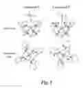 Fig. 06 - Nitrogen-rich macrocyclic ligands, chelation complexes thereof, and process for selective chelation of radioactive bismuth ions with the ligands