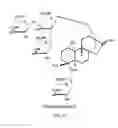 Fig. 05 - METHODS OF PURIFYING STEVIOL GLYCOSIDES AND USES OF THE SAME