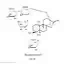 Fig. 07 - METHODS OF PURIFYING STEVIOL GLYCOSIDES AND USES OF THE SAME