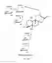 Fig. 08 - METHODS OF PURIFYING STEVIOL GLYCOSIDES AND USES OF THE SAME