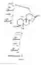 Fig. 09 - METHODS OF PURIFYING STEVIOL GLYCOSIDES AND USES OF THE SAME