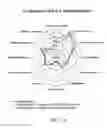 Fig. 33 - METHODS OF PURIFYING STEVIOL GLYCOSIDES AND USES OF THE SAME
