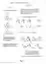 Fig. 04 - Labelled nucleotides