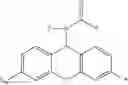 Fig. 09 - Labelled nucleotides