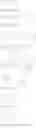Fig. 11 - Labelled nucleotides