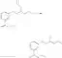 Fig. 15 - Labelled nucleotides
