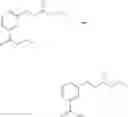 Fig. 16 - Labelled nucleotides