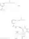 Fig. 17 - Labelled nucleotides