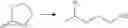 Fig. 18 - Labelled nucleotides