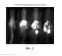 Fig. 43 - Estrogen receptor imaging agents