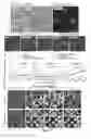 Fig. 02 - Biologically active complex and its preparation