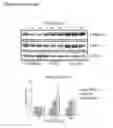 Fig. 09 - Biologically active complex and its preparation