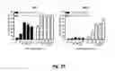 Fig. 08 - Compositions and methods relating to universal glycoforms for enhanced antibody efficacy