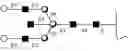 Fig. 16 - Compositions and methods relating to universal glycoforms for enhanced antibody efficacy