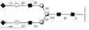 Fig. 22 - Compositions and methods relating to universal glycoforms for enhanced antibody efficacy