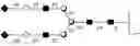 Fig. 28 - Compositions and methods relating to universal glycoforms for enhanced antibody efficacy