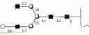 Fig. 33 - Compositions and methods relating to universal glycoforms for enhanced antibody efficacy